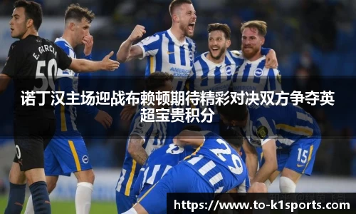 诺丁汉主场迎战布赖顿期待精彩对决双方争夺英超宝贵积分